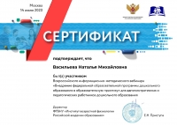 Сертификат Васильева Наталья Михайловна(1)
